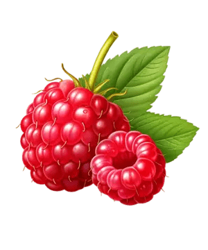 Vaarikamummud 60g (tootepilt tulekul)